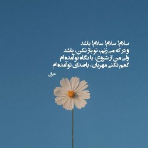 جشن بزرگ نیمه شعبان