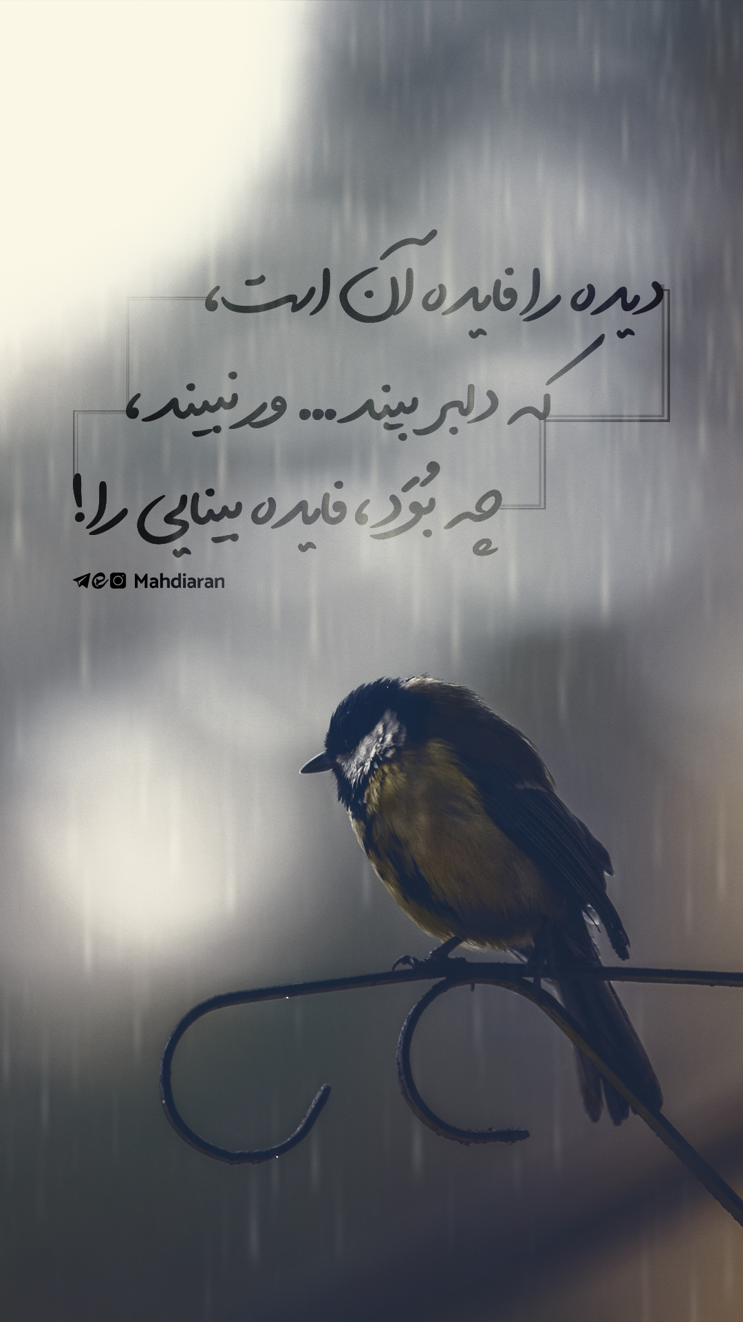 عاشقانه مهدوی (2)