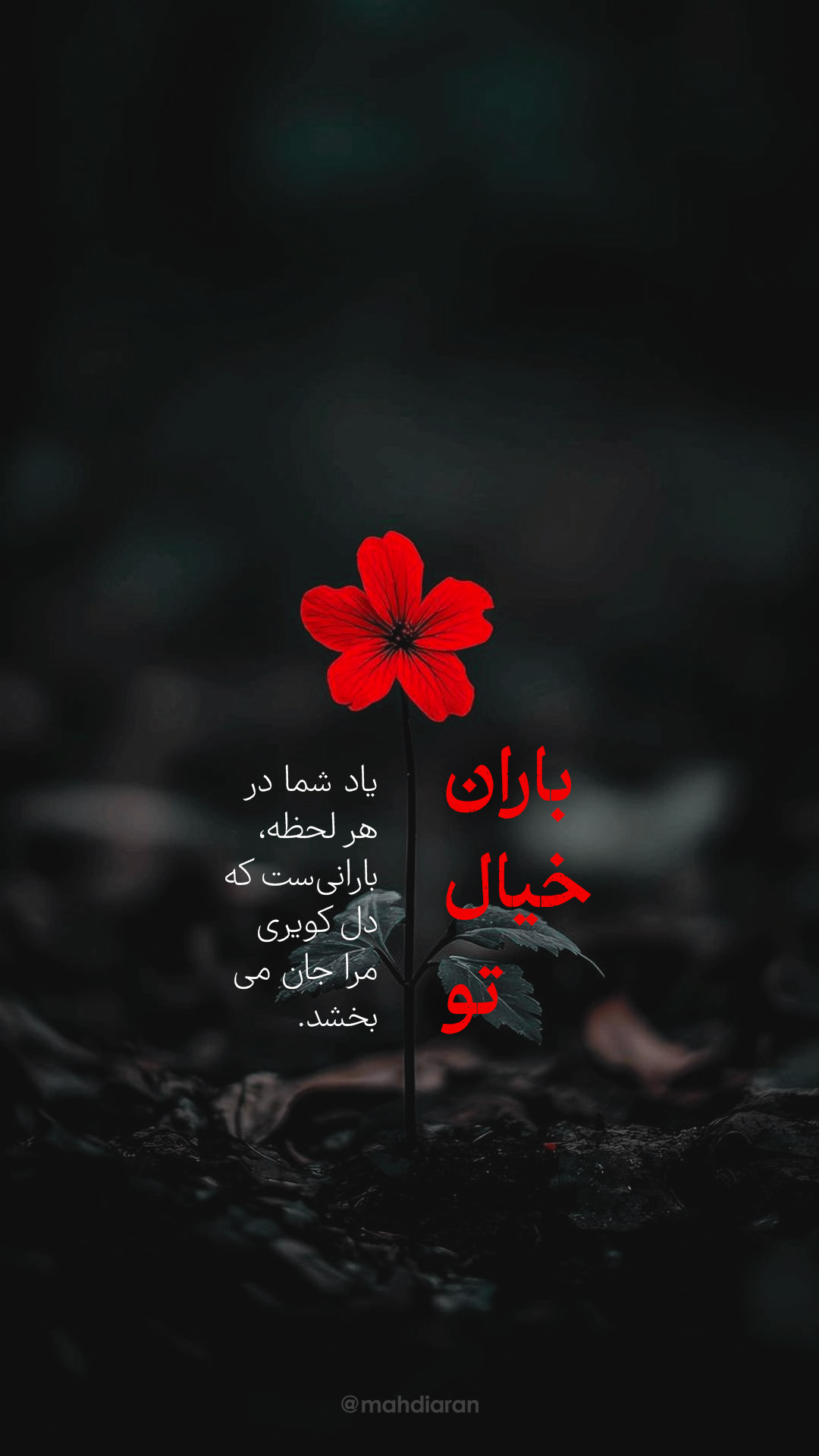 عاشقانه مهدوی (استوری) (2)